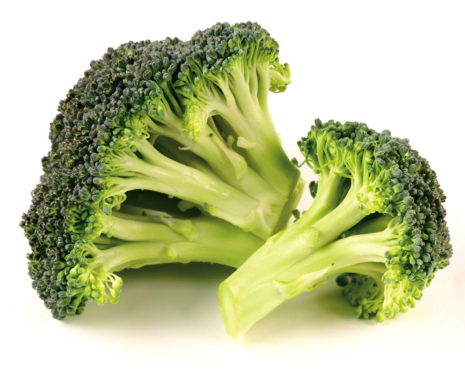 How Many Carbs in Broccoli | New Health Guide
