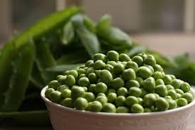 What effect do beans have on gout?
