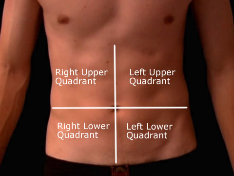 What are the abdominal quadrants?