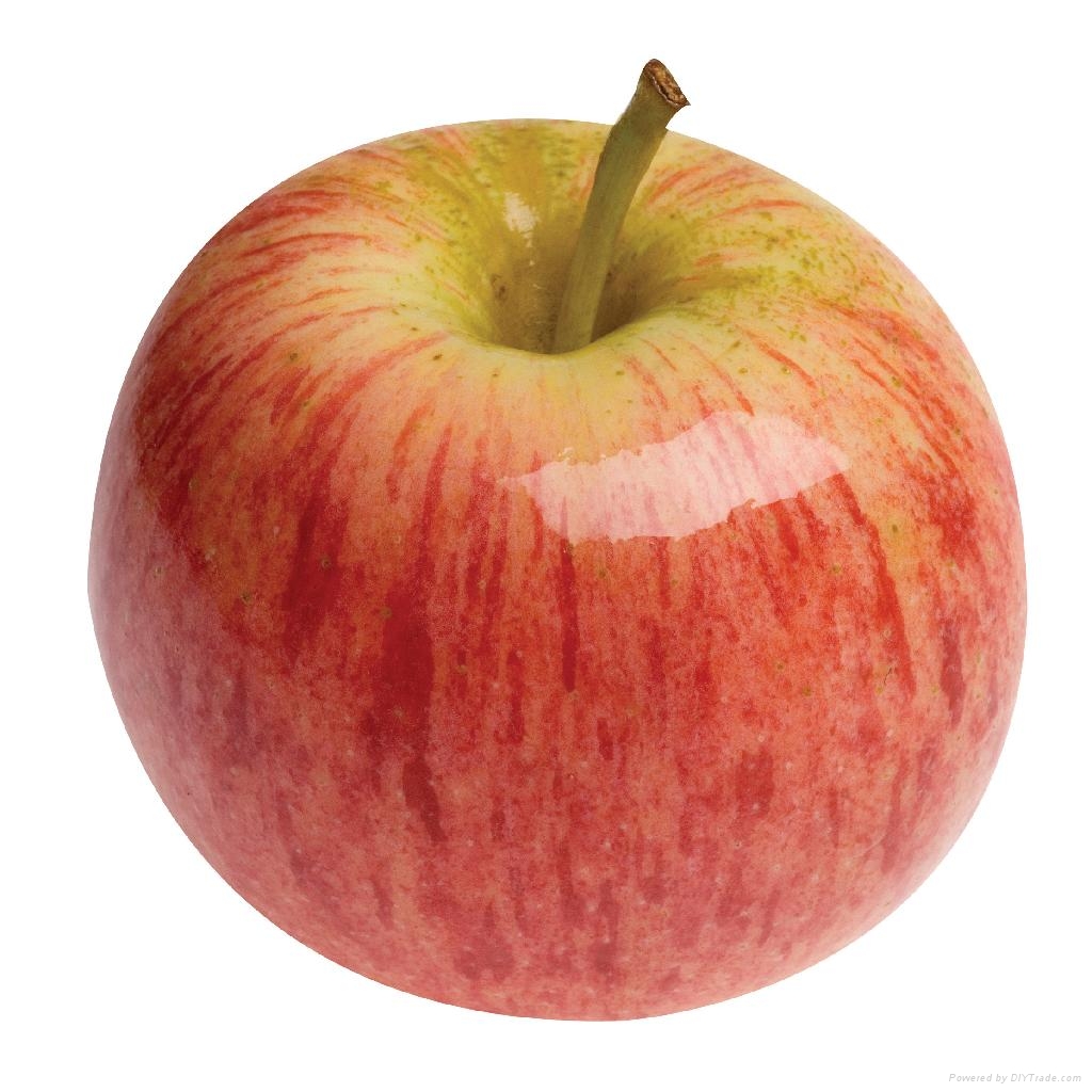 What Is the Amount of Carbs Contained in an Apple? New