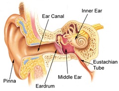 Can an ear infection cause a loss of balance?