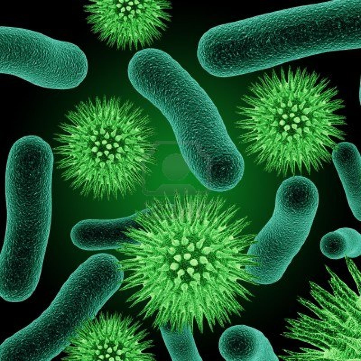 What are specific types of eubacteria?