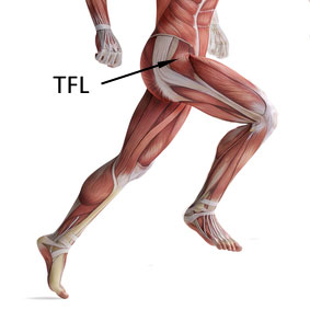 Tensor Fasciae Latae (TFL) Pain Relief in 6 Ways | New Health Guide