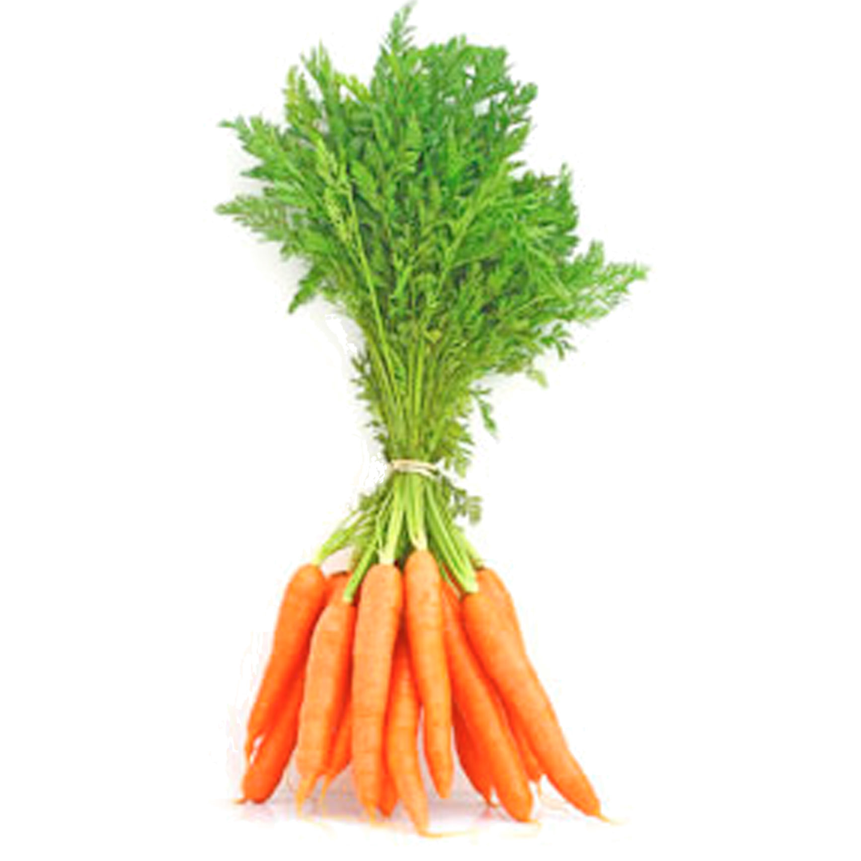 Fruits And Vegetables To Eat During Pregnancy New Health Guide