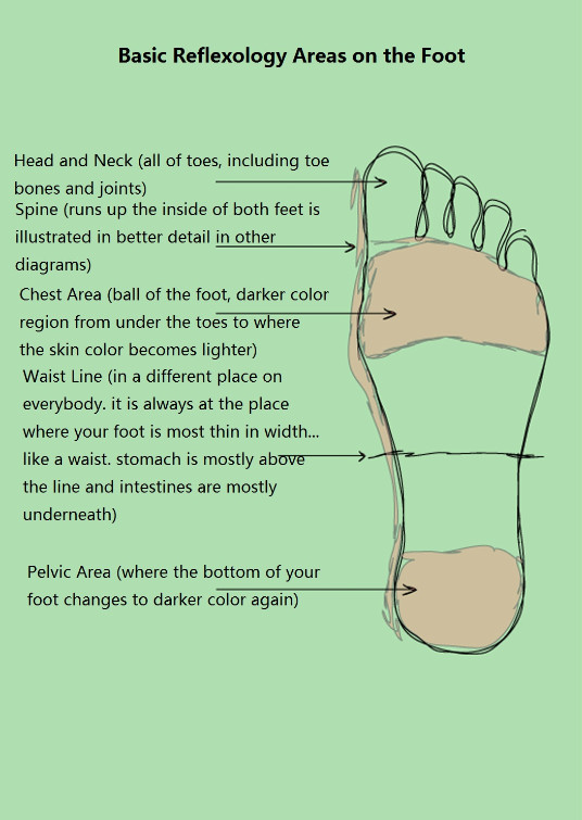 Reflexology Foot Chart | New Health Guide